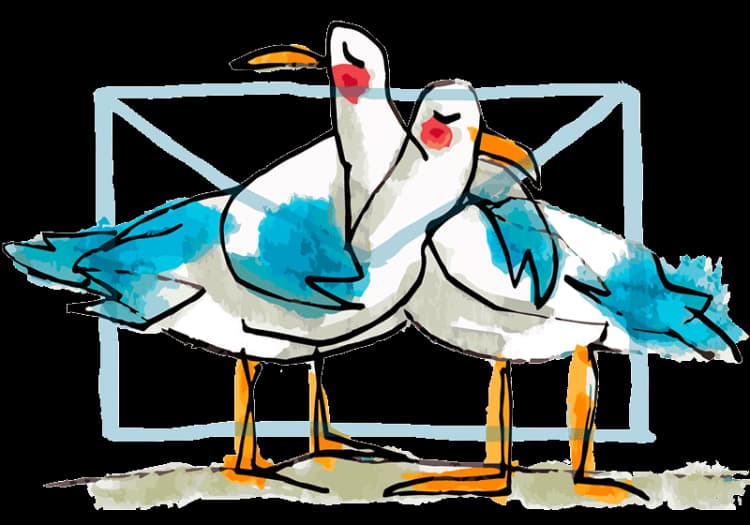 Zwei aquarellierte Möwen vor einem Briefumschlag